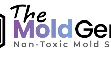 Essential Attic Mold Removal Services in Wheaton and Mount Prospect.