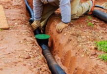 Why Surface Drainage Design Matters as Much as Plant Selection