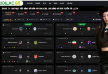 Master the Art of Professional Analysis with Tructiepbongda and Expert Soikeo Insights